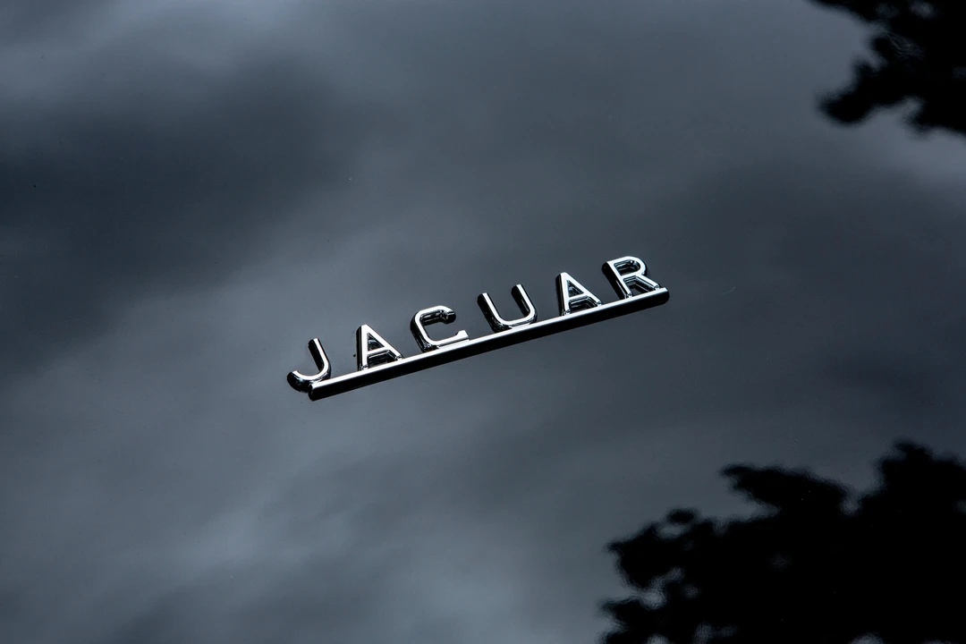 1961 Jaguar E-Type Series 1 - Image 17 of 22