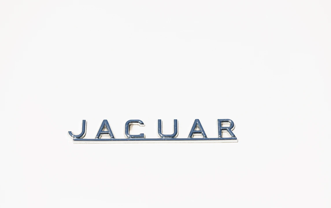 1961 Jaguar E-Type Series 1 - Image 16 of 16