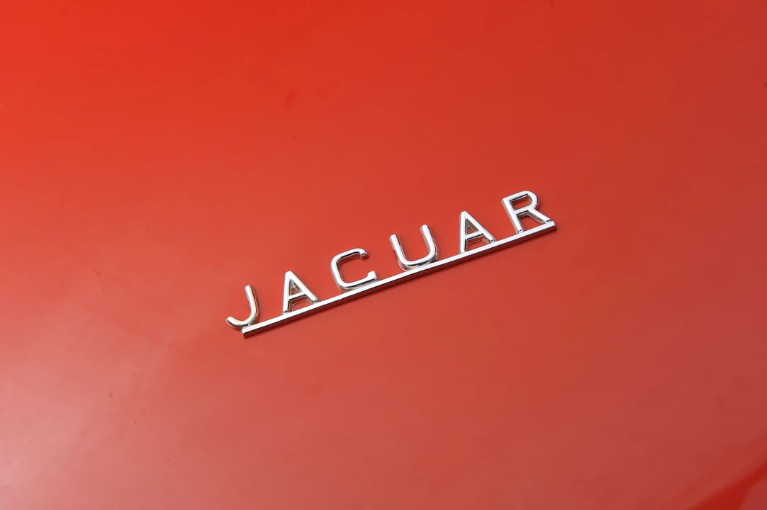 1961 Jaguar E-Type Series 1 - Image 31 of 31