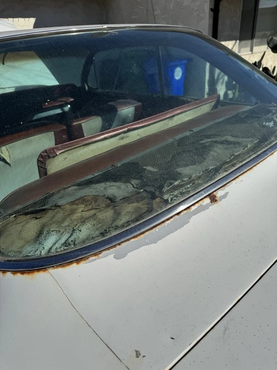 1961 Oldsmobile 88 - Image 7 of 14