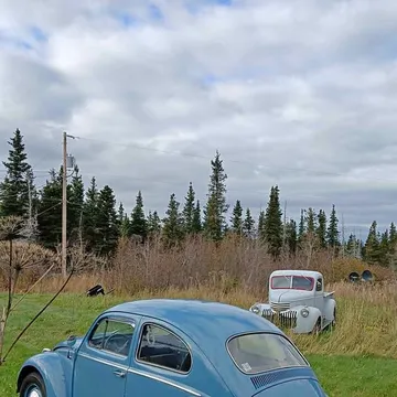 1961 Volkswagen Bug