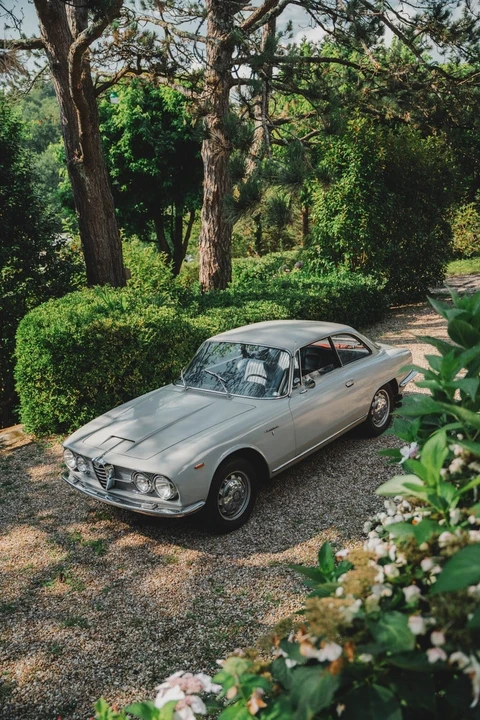 1962 Alfa Romeo 2600 - Image 3 of 30