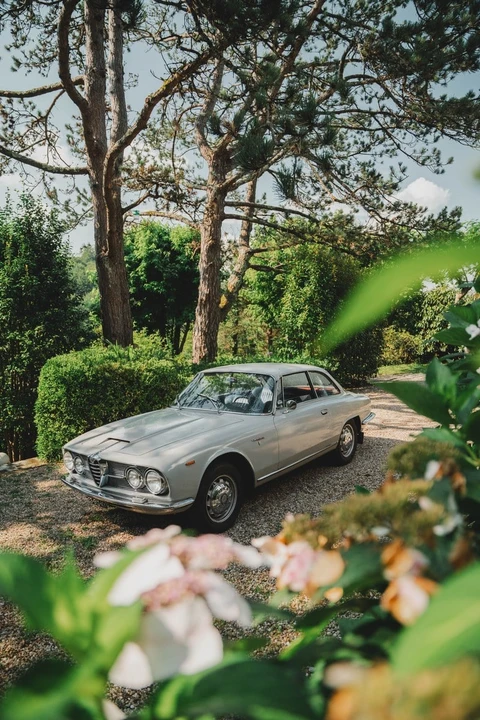 1962 Alfa Romeo 2600 - Image 2 of 30