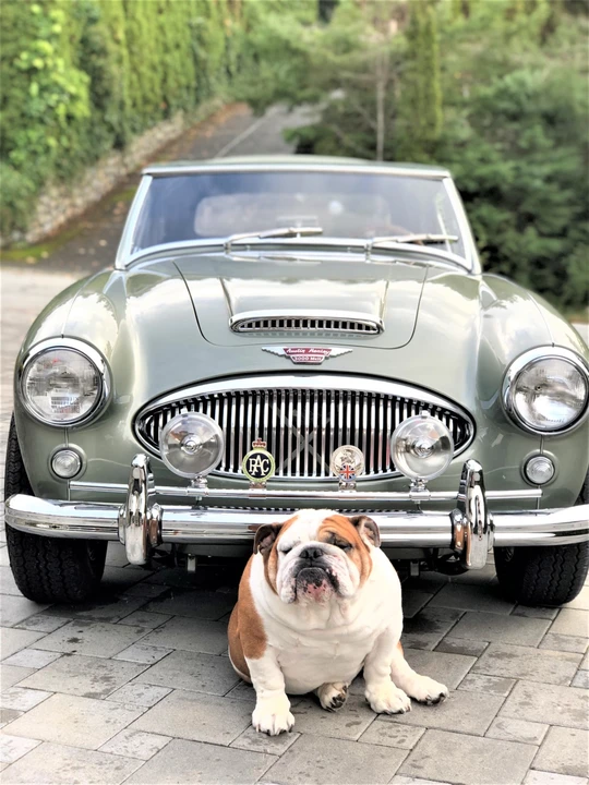 1962 Austin-Healey 3000 Mark II - Image 28 of 31