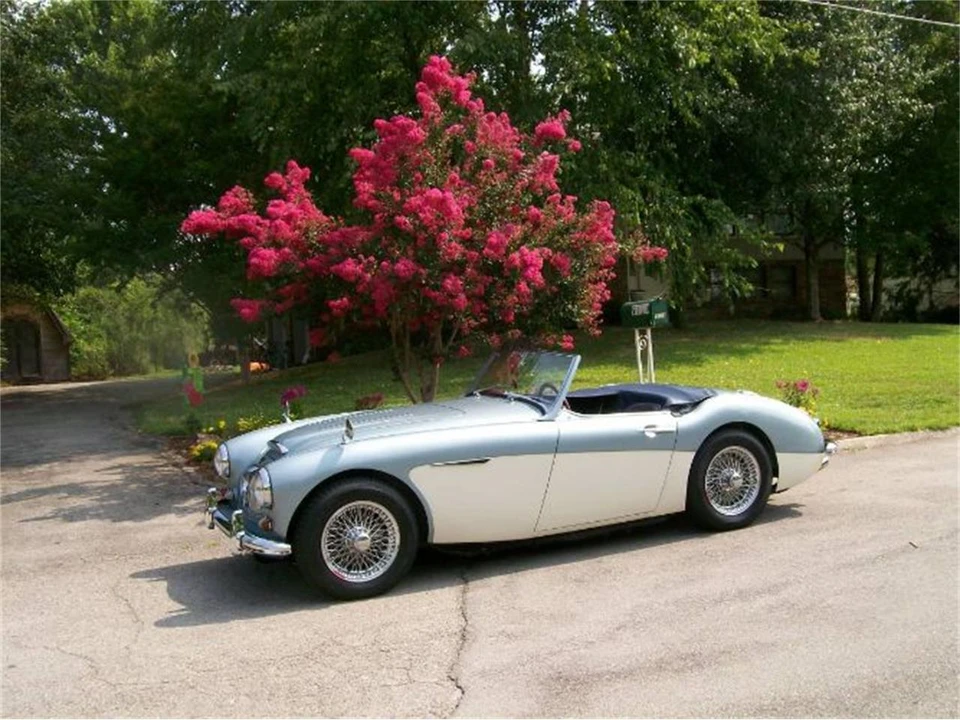 1962 Austin-Healey 3000 Mark II - Image 19 of 23