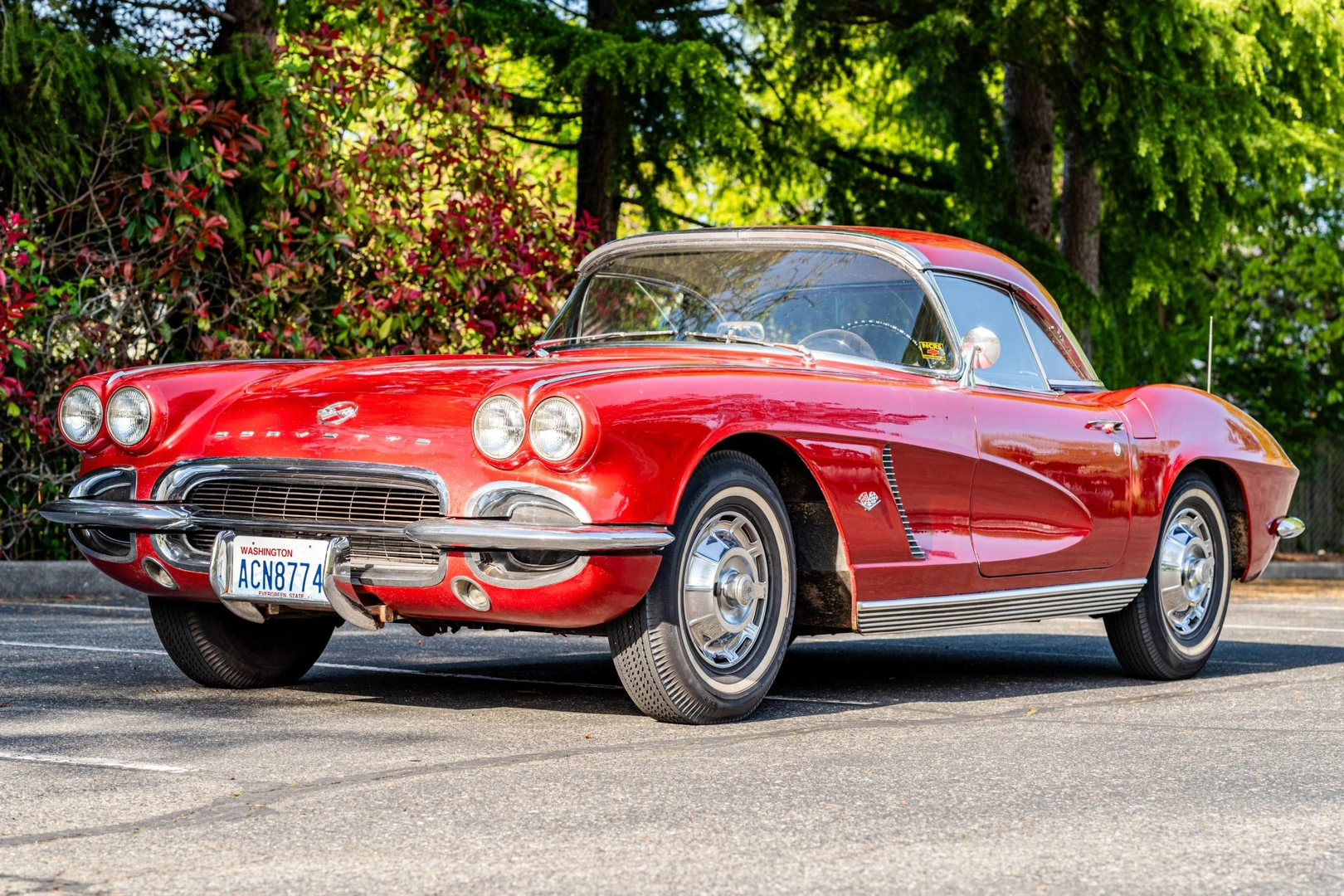 Terrybul