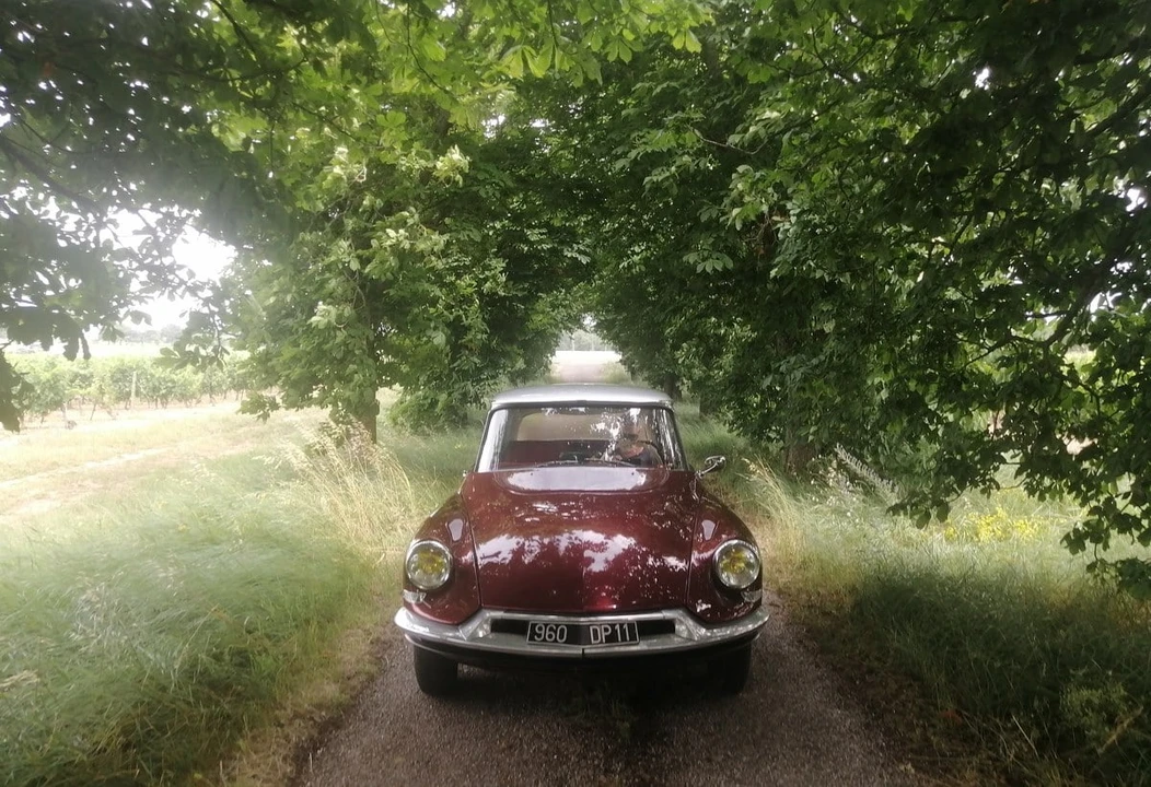 1962 Citroen ID19 - Image 12 of 30