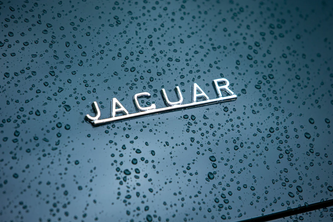 1962 Jaguar E-Type Series 1 - Image 6 of 31