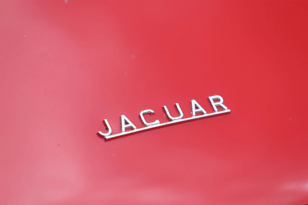 1962 Jaguar E-Type Series 1 - Image 19 of 20