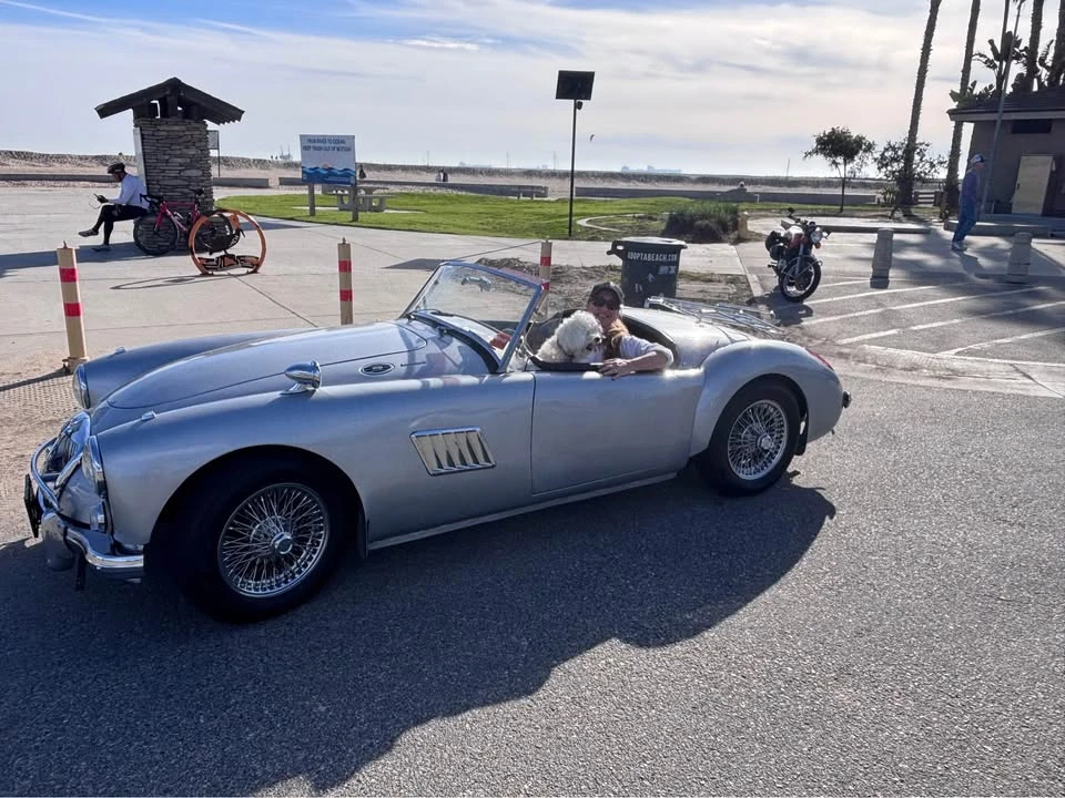 1962 MG MGA 1600 - Image 14 of 20
