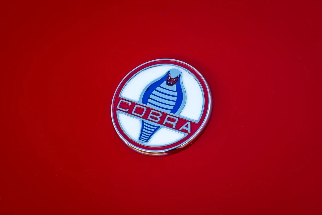 1962 Shelby Cobra 260 - Image 8 of 27