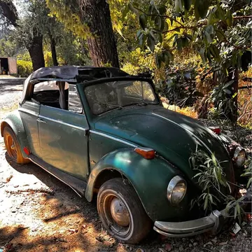 1962 Volkswagen Beetle