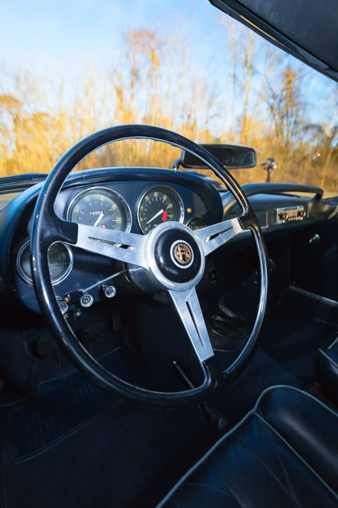 1963 Alfa Romeo 2600 - Image 23 of 31
