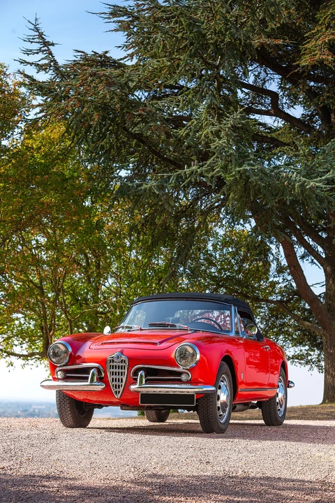 1963 Alfa Romeo Giulietta - Image 9 of 31