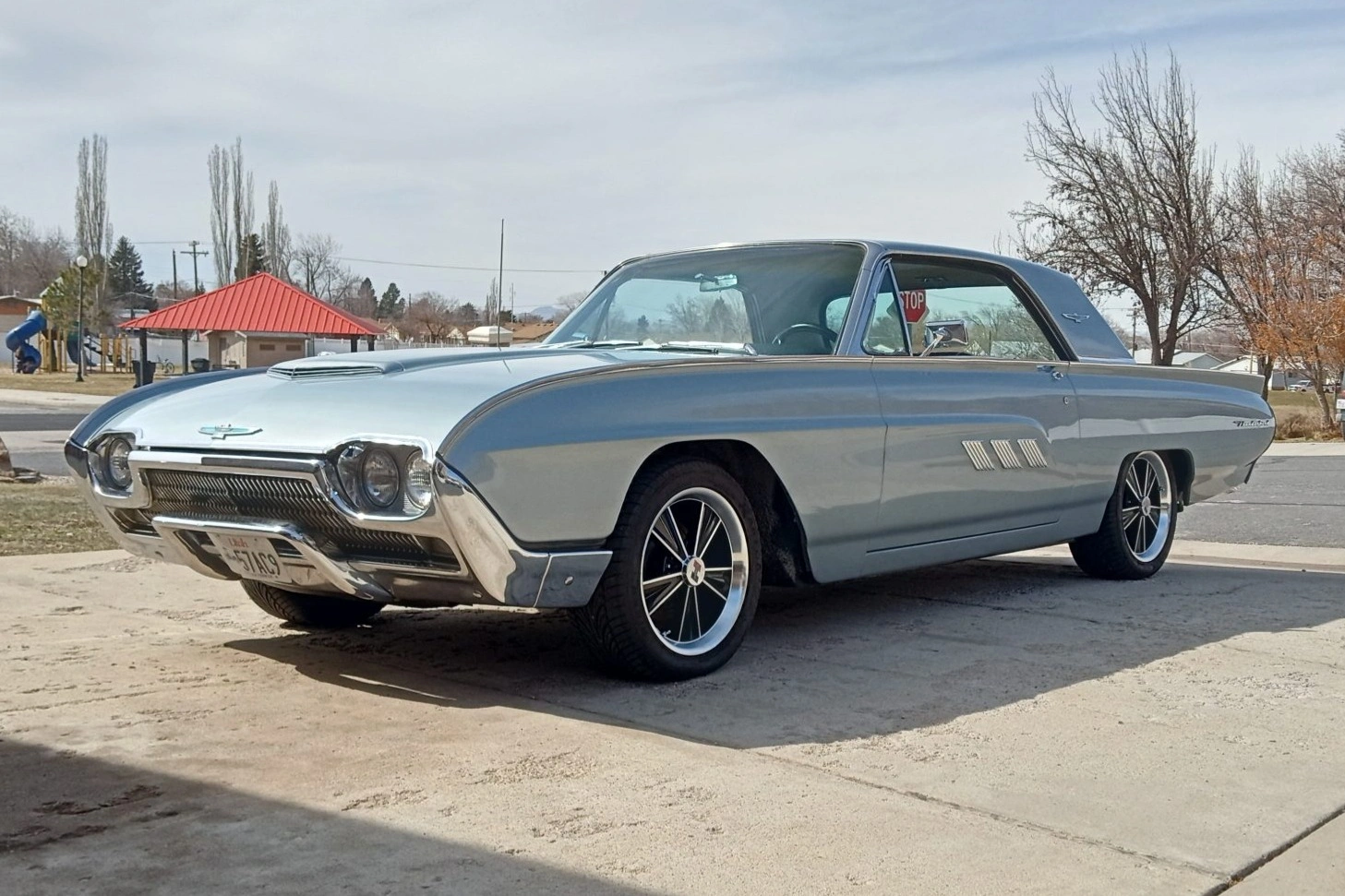 63bird