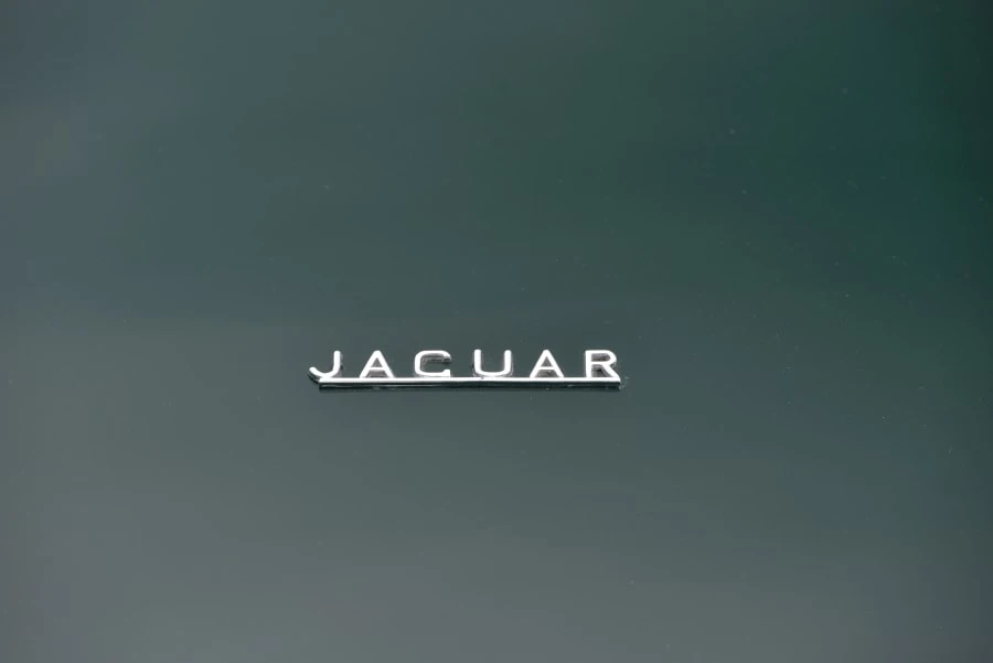 1963 Jaguar E-Type Series 1 - Image 8 of 31