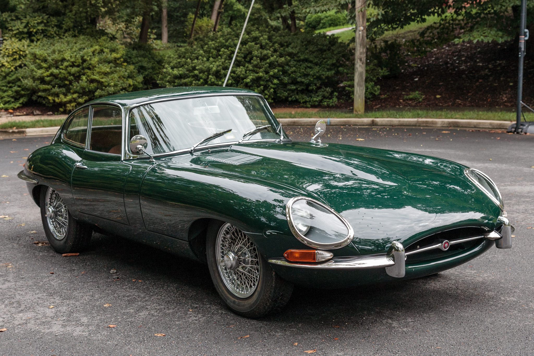 EFygi