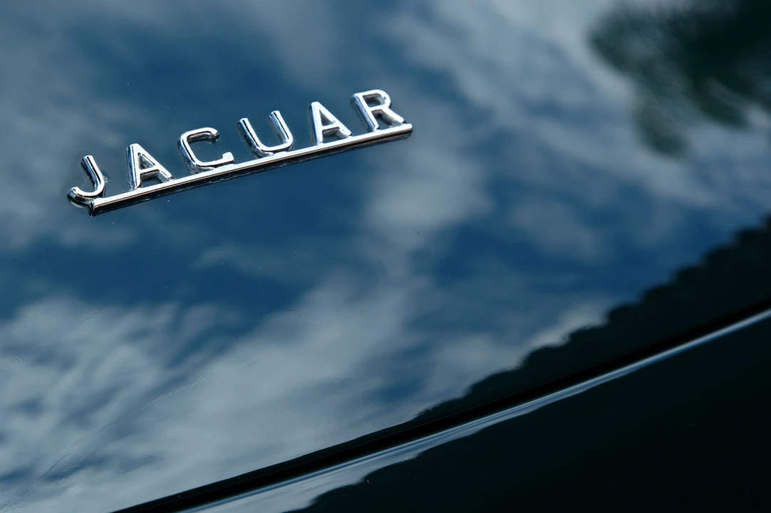 1963 Jaguar E-Type Series 1 - Image 4 of 14
