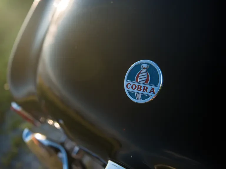 1963 Shelby Cobra 289 - Image 14 of 31