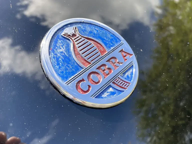 1963 Shelby Cobra 289 - Image 20 of 31