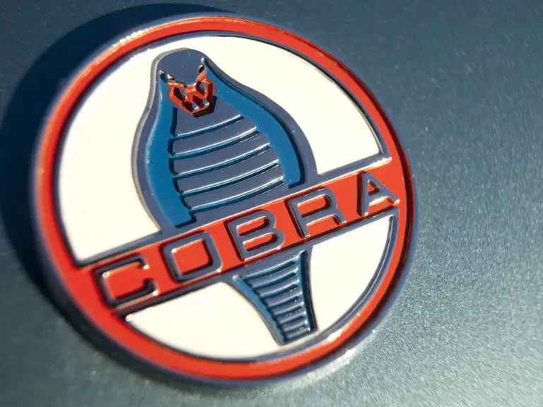 1963 Shelby Cobra 289 - Image 7 of 25