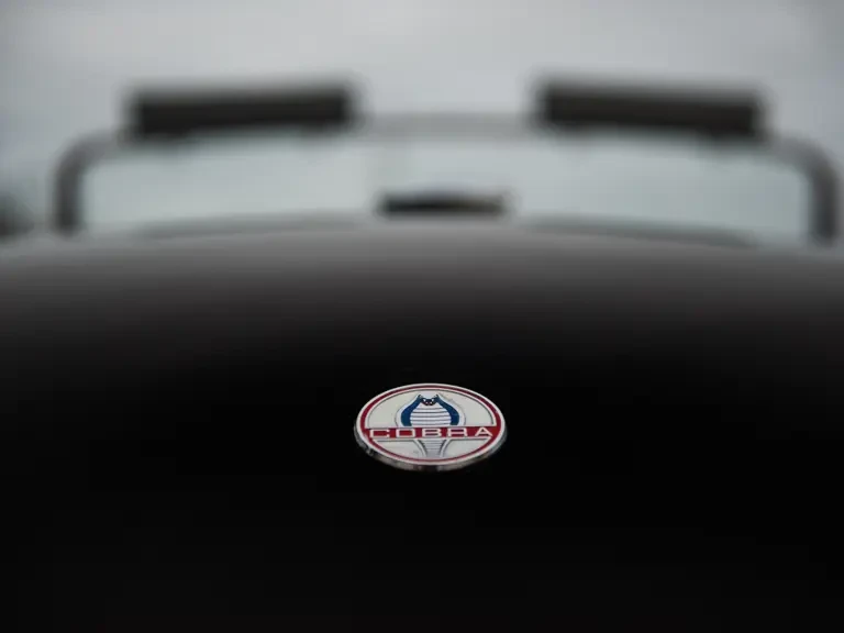 1963 Shelby Cobra 289 - Image 15 of 31