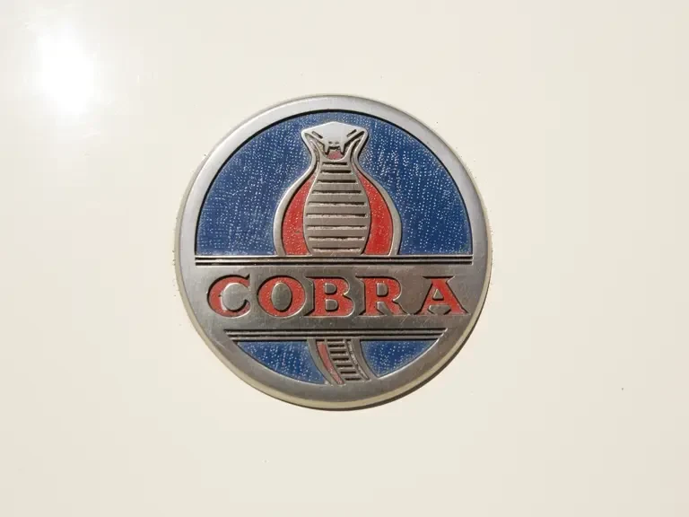 1963 Shelby Cobra 289 - Image 7 of 19