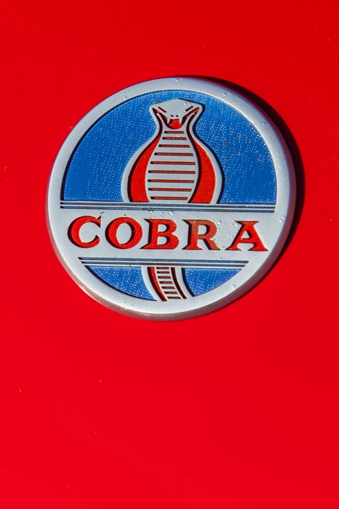1963 Shelby Cobra 260 - Image 22 of 31