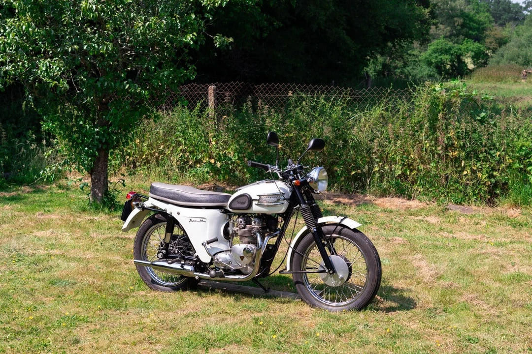 1963 Triumph Tiger (Triumph Engineering) - Image 4 of 30