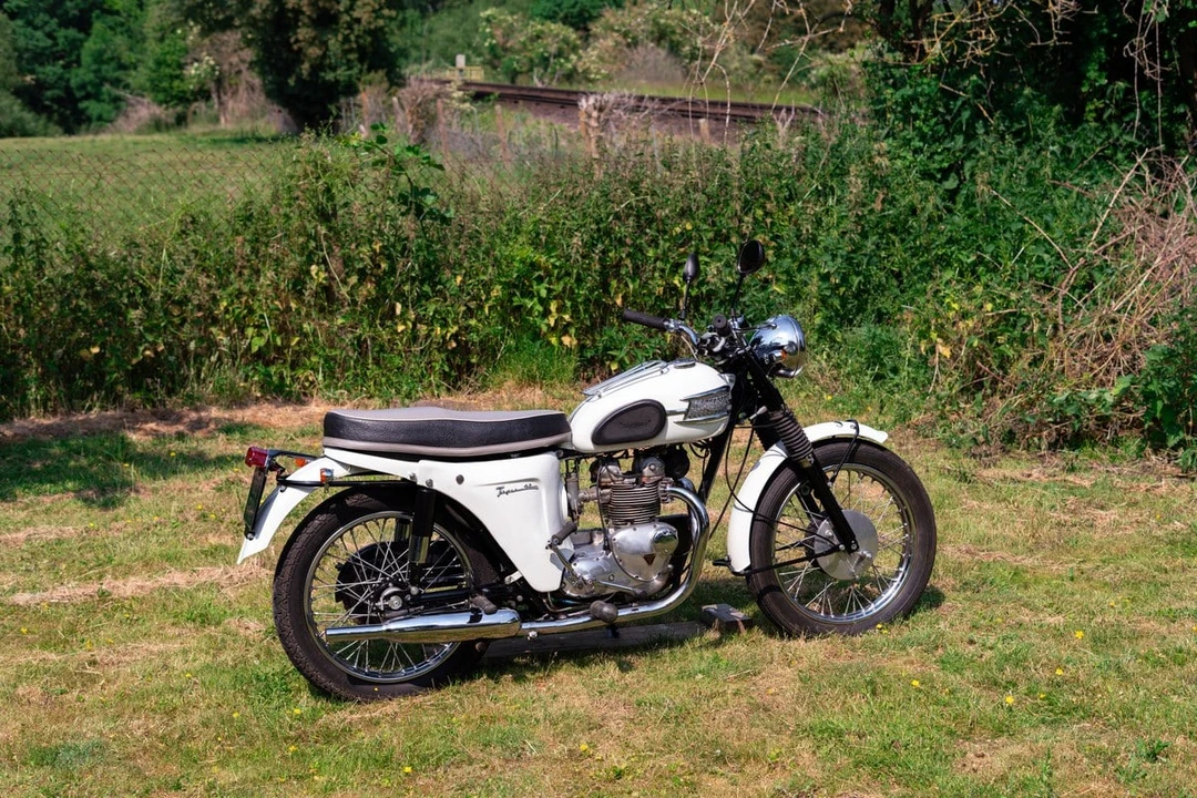 1963 Triumph Tiger (Triumph Engineering) - Image 12 of 30