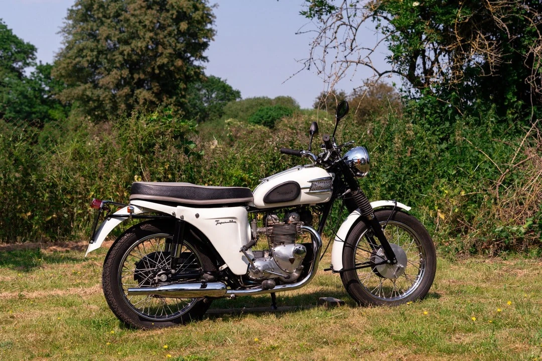 1963 Triumph Tiger (Triumph Engineering) - Image 13 of 30