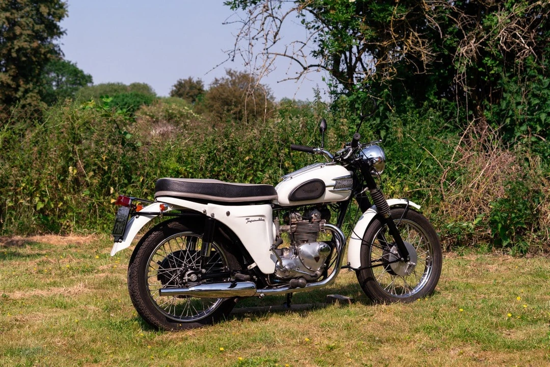 1963 Triumph Tiger (Triumph Engineering) - Image 15 of 30