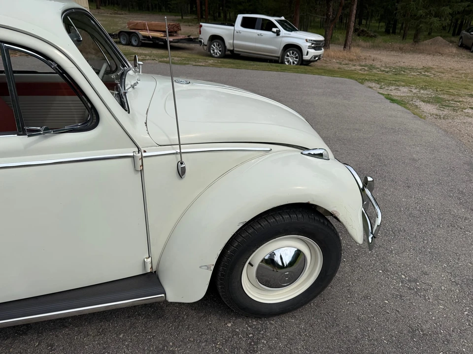 1963 Volkswagen Beetle (1958-1979) - Image 15 of 31