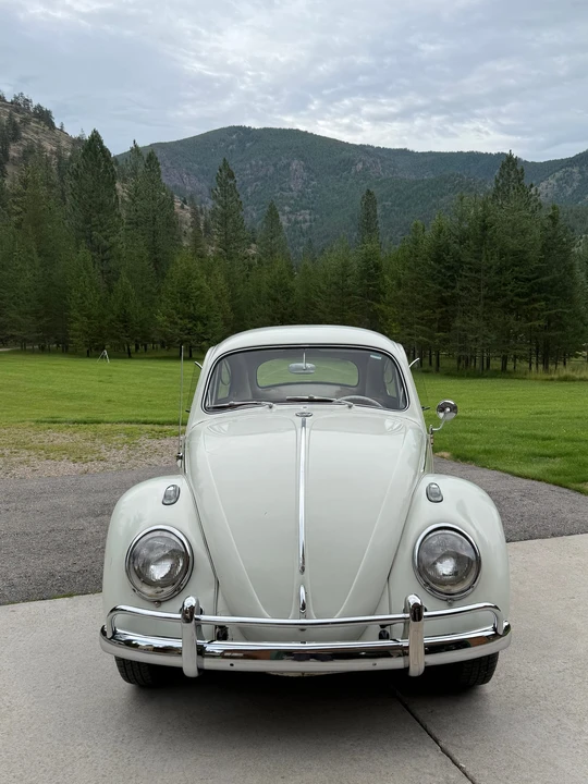 1963 Volkswagen Beetle (1958-1979) - Image 4 of 31