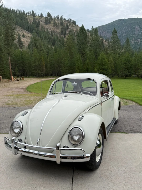 1963 Volkswagen Beetle (1958-1979) - Image 2 of 31