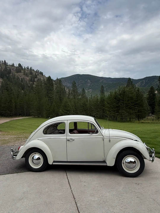 1963 Volkswagen Beetle (1958-1979) - Image 7 of 31
