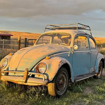 1963 Volkswagen Beetle
