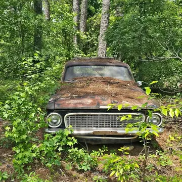 1963 Plymouth Duster Wagon