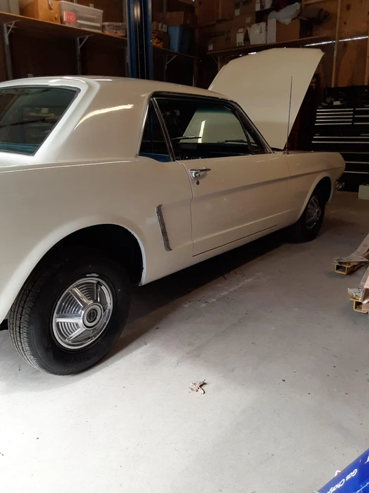 1964 Ford Mustang 1st Gen (1964.5-1966) - Image 19 of 31