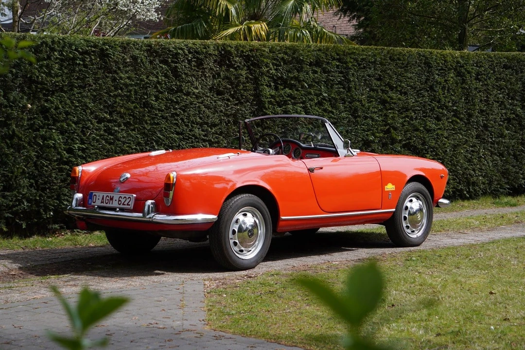 1964 Alfa Romeo Giulia - Image 8 of 31
