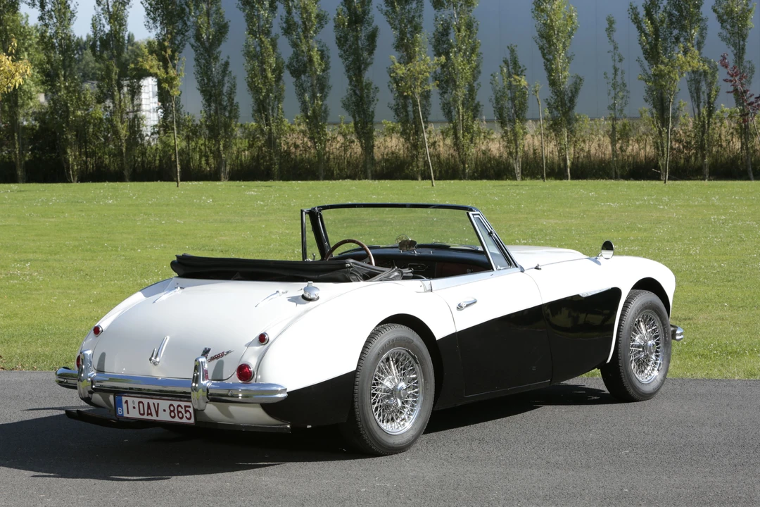 1964 Austin-Healey 3000 Mark III - Image 12 of 13