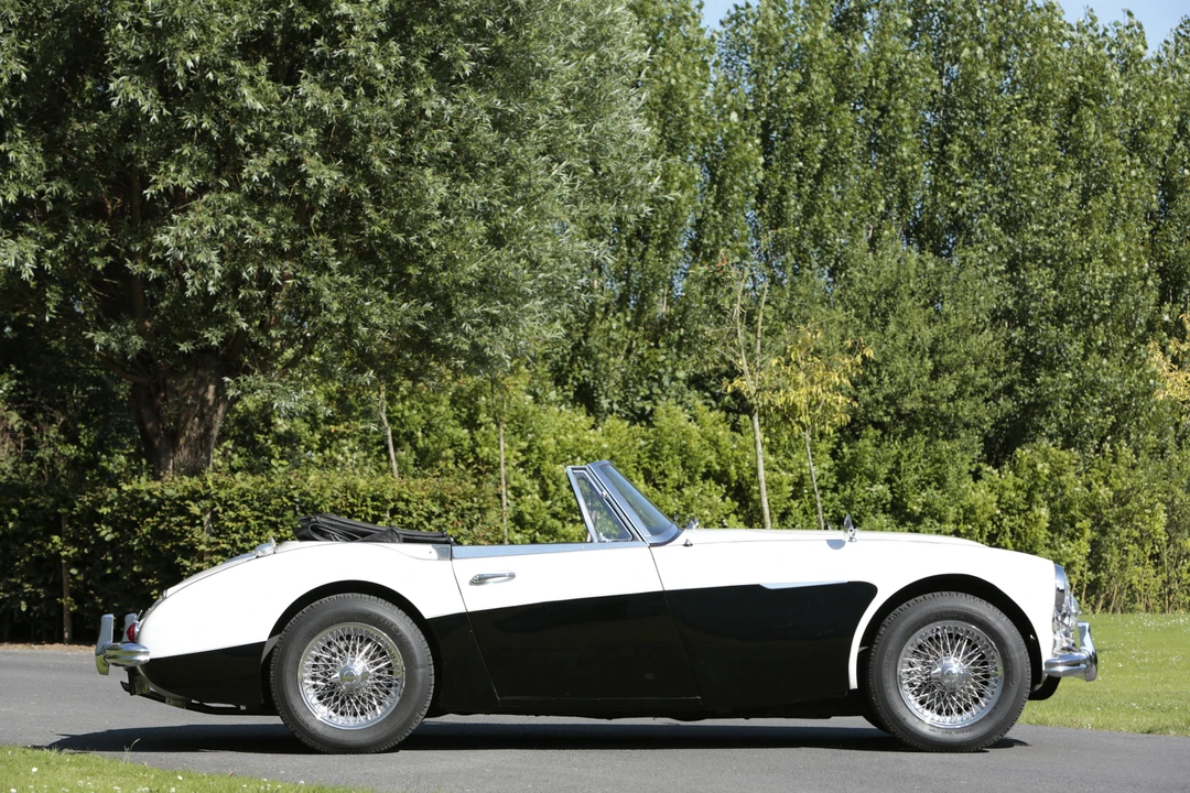 1964 Austin-Healey 3000 Mark III - Image 11 of 13