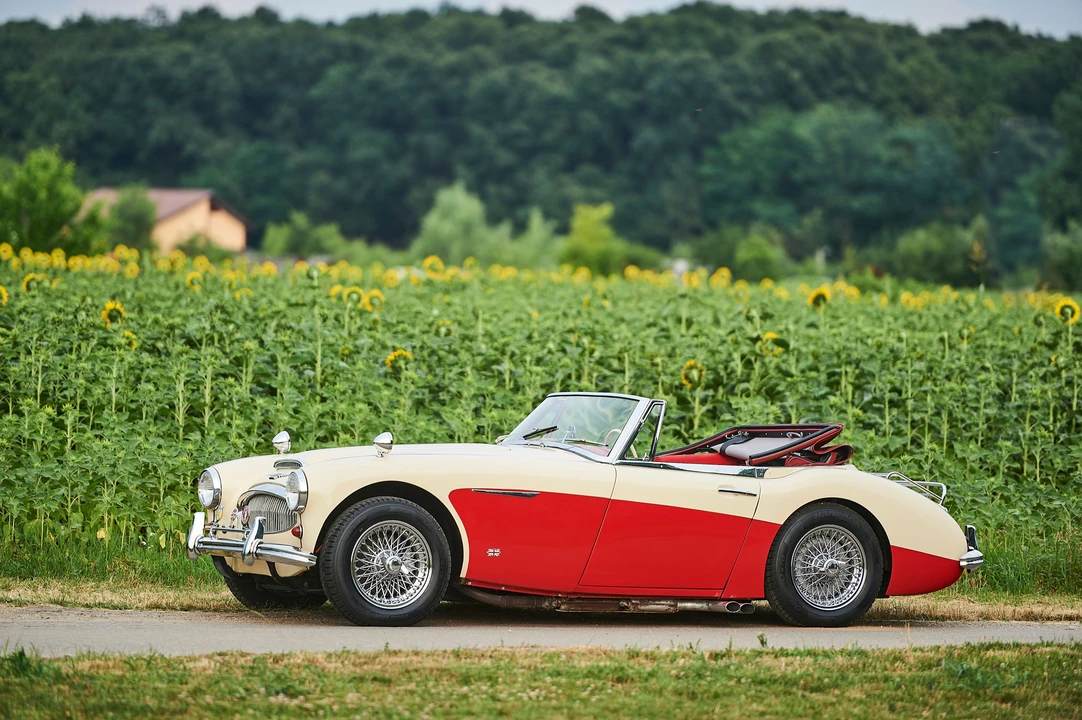 1964 Austin-Healey 3000 Mark III - Image 30 of 31