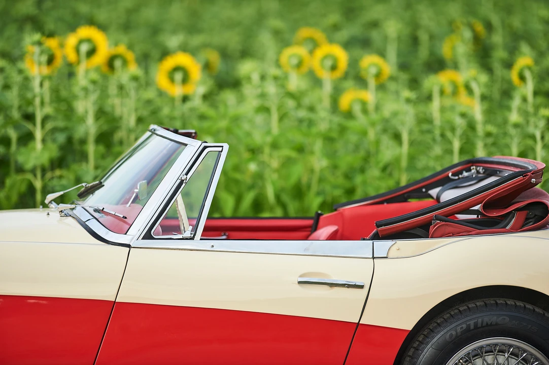 1964 Austin-Healey 3000 Mark III - Image 19 of 31