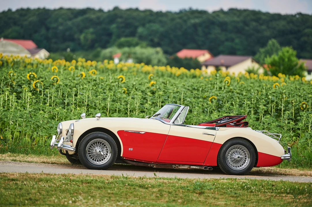 1964 Austin-Healey 3000 Mark III - Image 28 of 31
