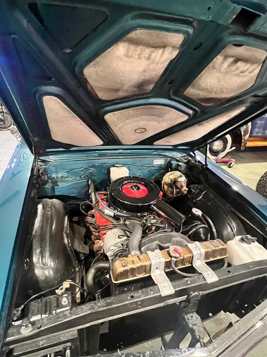 1964 Buick Skylark 3rd Gen - Image 19 of 20