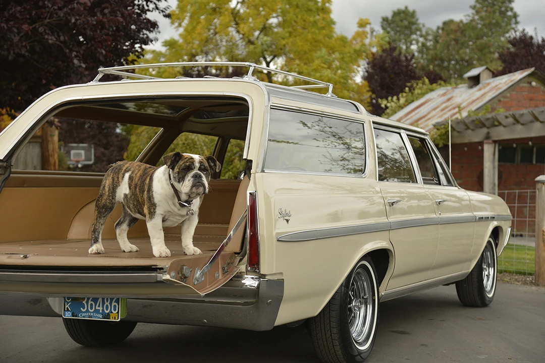 1964 Buick Skylark 3rd Gen - Image 18 of 31