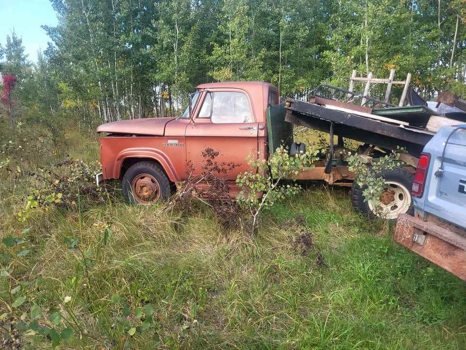 1964 Dodge D Series 1st Gen - Image 9 of 9