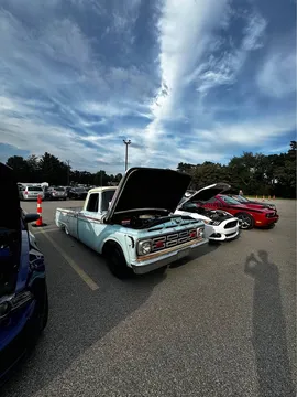 1964 Ford F100