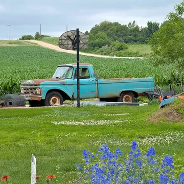 1964 Ford F250
